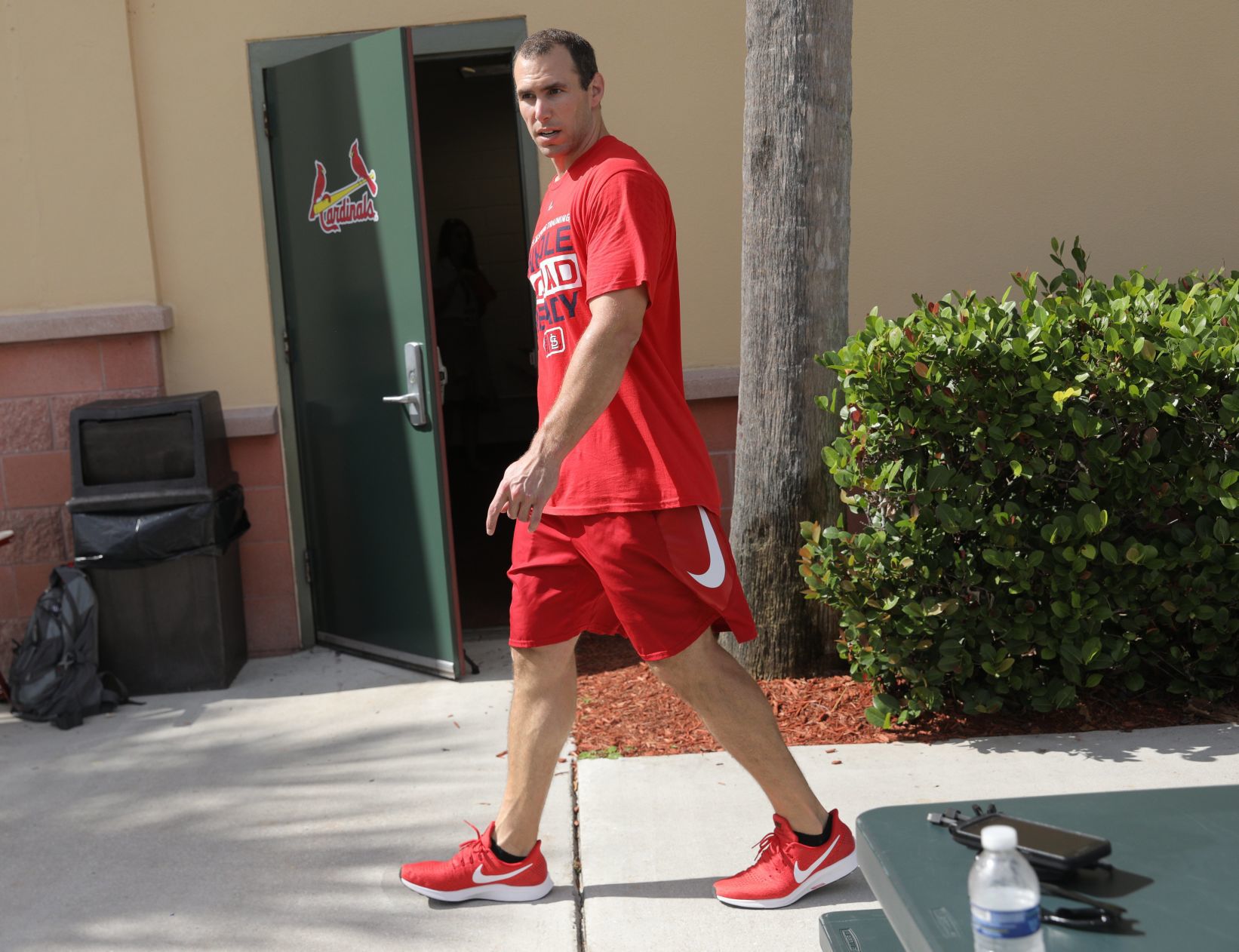 Cardinals spring training